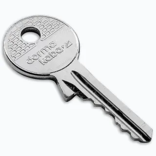 AP1000-Nachschlüssel